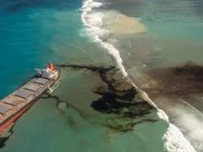 毛里求斯燃油泄漏影响持续，海滩发现至少13头海豚死亡
