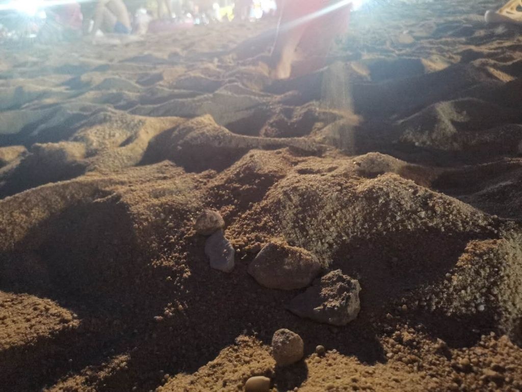 为何大梅沙海滨公园沙滩里会有水泥块？ 园方回应：施工尚未完成，已加快清理