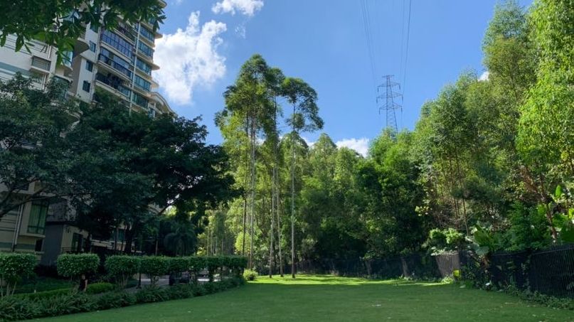 番禺区389个小区建立业主信息数据库