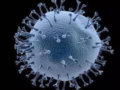 港大研究：新冠病毒可入侵人类神经细胞，同时进行病毒复制