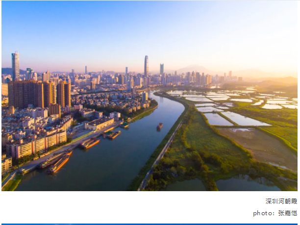 2020深圳设计周主宾国展：“水与城市：设计助力可持续发展”