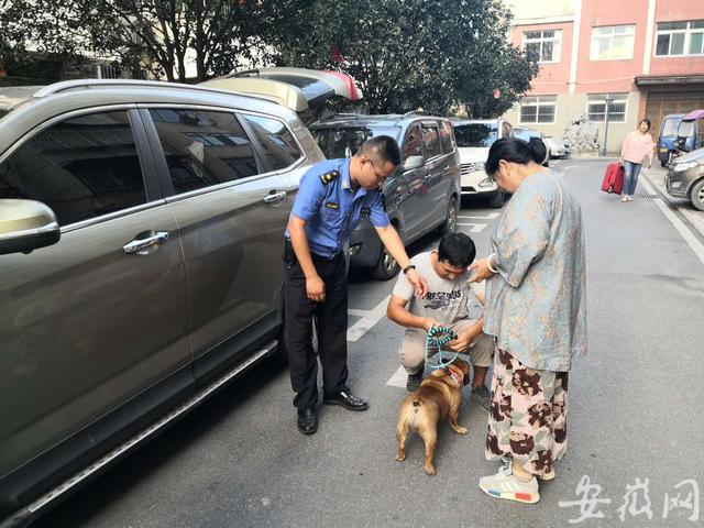合肥开展文明养犬集中整治，市城管部门成立千人巡查队