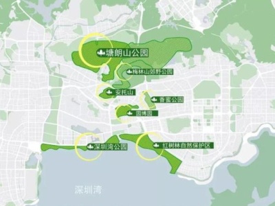 深圳红树林湿地博物馆设计方案正式招标