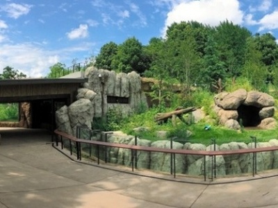 参考四川的山水环境 上野动物园新建的大熊猫馆9月开放