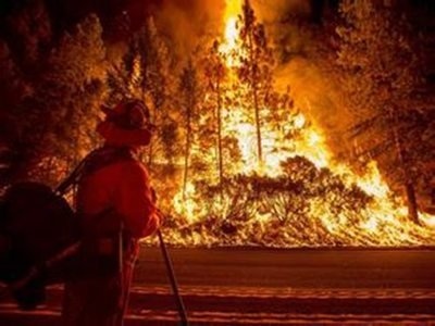 美国加州超过12500平方公里土地遭山火侵袭 已致12人死亡
