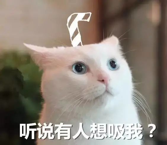 “云养猫”能赚钱？6000多人预约购买虚拟猫被骗上亿元