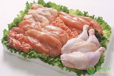 猪肉价格持续上涨，为啥鸡肉价格却整体走低