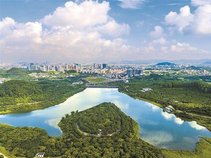 深圳市各民主党派开展“水污染治理情况”专项调研 
