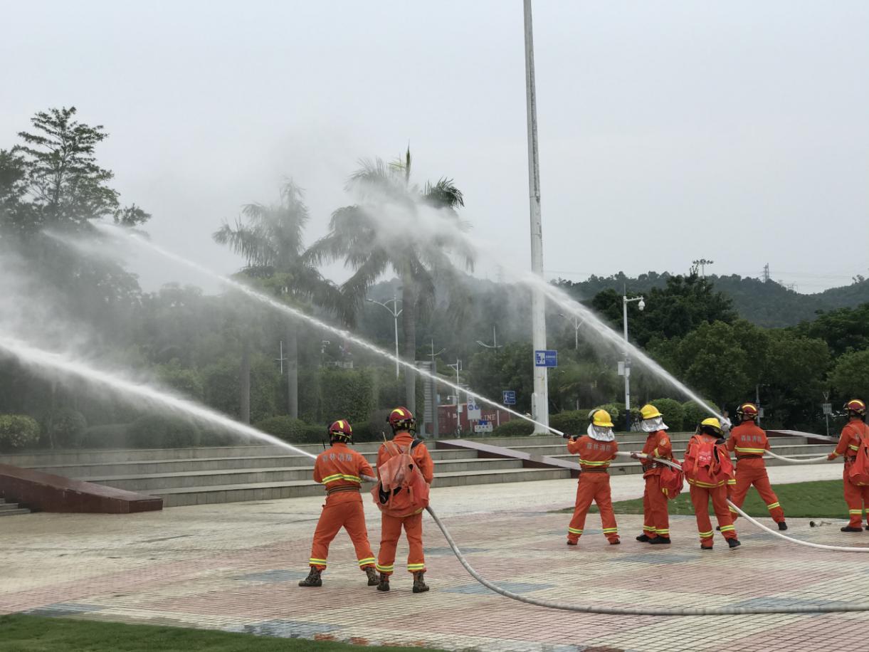 理论实操+联防联训，大鹏新区森林消防队伍“大练兵”