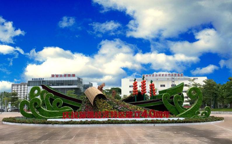 美丽深汕：时花提升快准美，花团锦簇孩童乐！