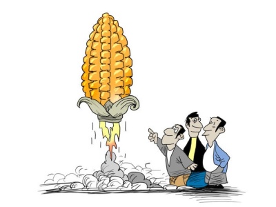 财经漫画 | 玉米期价急涨创下9年新高