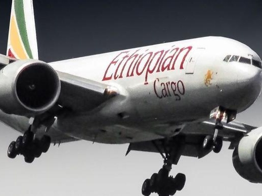 埃塞俄比亚至成都一航班检出14例新冠阳性，7人4月后赴埃