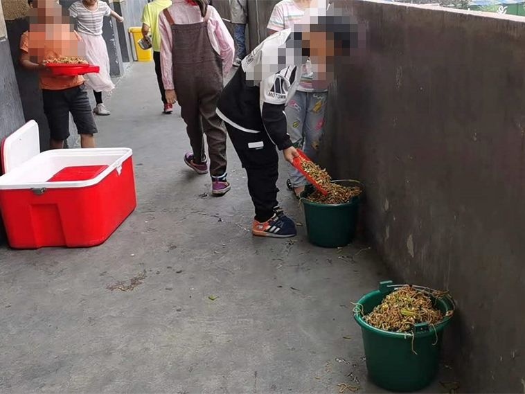 阜阳一小学学生将营养餐倒掉“溢出垃圾桶”，校方：众口难调，加强宣传教育