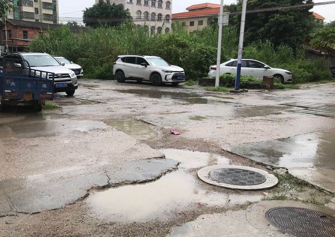 曝光台|定溪村内杂草丛生，垃圾分类形同虚设