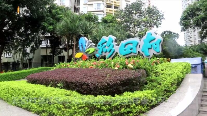 垃圾分类怎么做？彩田村给出“标准答案”