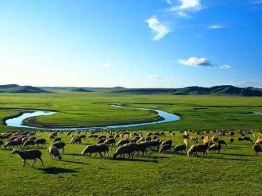 国办印发促进畜牧业高质量发展意见，加快构建现代养殖体系