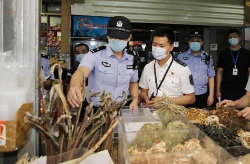 深圳捣毁非法交易野生动物窝点80余个