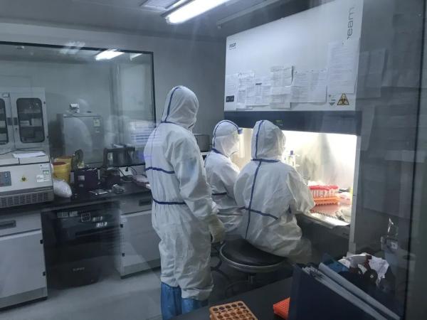 青岛新增境外输入无症状感染者1例