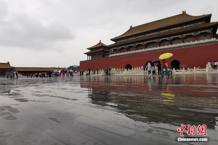 故宫的屋顶真的无法落鸟？琉璃瓦反光限制鸟类停留
