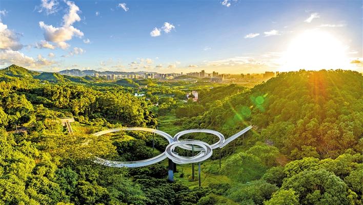 描绘“山水城共生、人境业和谐”图景！光明区总体城市设计专项规划中期成果汇报会召开 