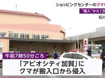 日本一商场遭熊“入侵”超13小时 防暴警察出动