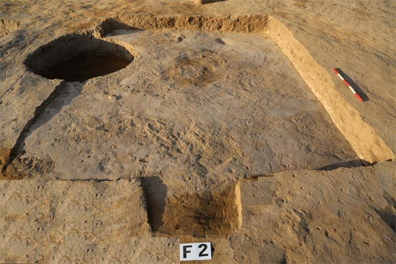 考古新发现：4000年前的活人殉葬墓