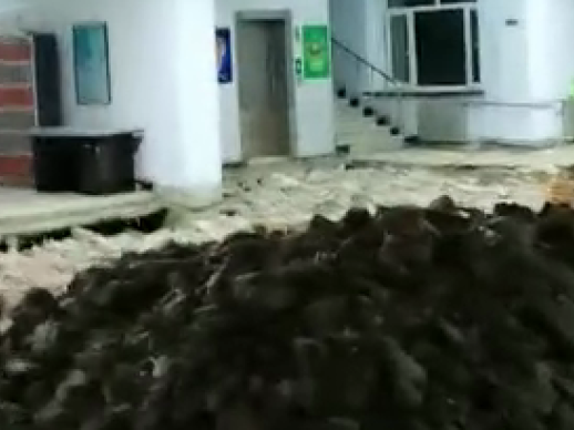 哈尔滨双城区回应政府大楼一楼塌陷：因雨太大地板塌落，无伤亡