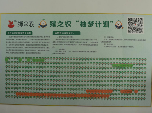 梅州市漳北村蜜柚销售收入获保障，广东省市监局帮扶成效显著