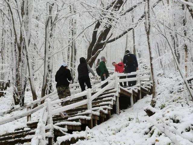 入秋后的第一场雪已经到来！