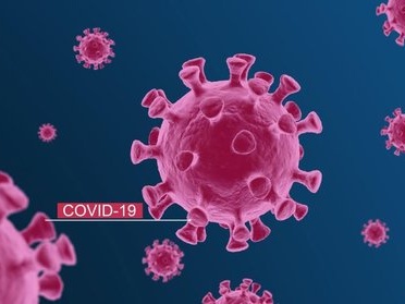 研究发现新冠病毒感染人类的新路径