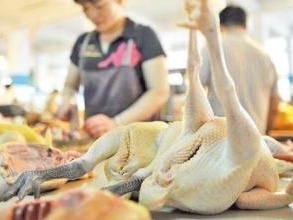 农业农村部：中国鸡肉养殖陷入亏损，一只肉鸡平均亏3毛钱