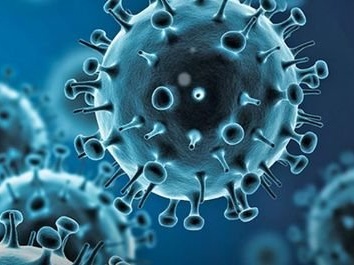 广东专家发布研究成果：新冠病毒复阳与缺少保护性抗体有关，复阳阶段传染性明显降低