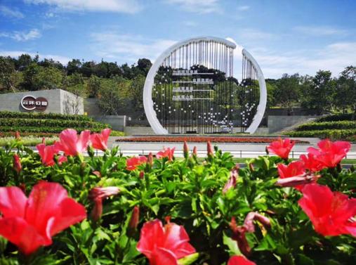 党建引领基层治理改革，以人民为中心打造楼村社区治理新样板