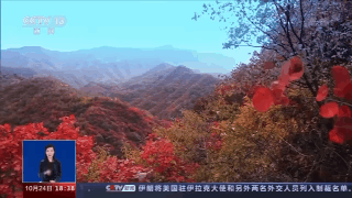 重阳将至秋意浓 正是踏秋好时节