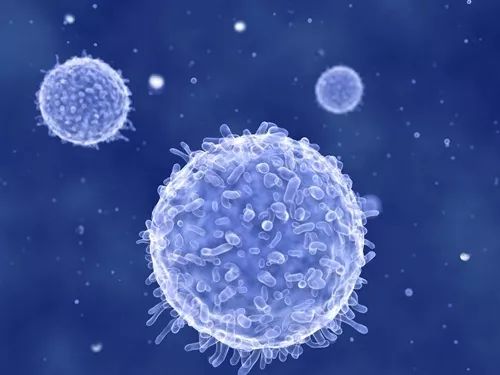 世卫组织：全球新冠肺炎确诊病例超过3553万例