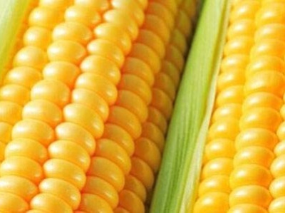 玉米价格创4年新高 中国农业农村部称短期内有望小幅回落