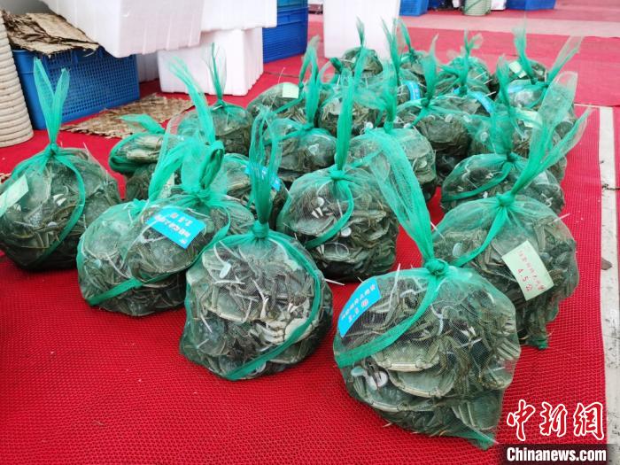 节后日销量不足节前一半 阳澄湖大闸蟹遭“冷遇”？