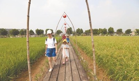 双节假期留莞市民到市内景点放松身心，乡村休闲游受热捧