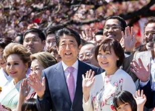 “赏樱会”丑闻续集上演，考验安倍和他的继承者