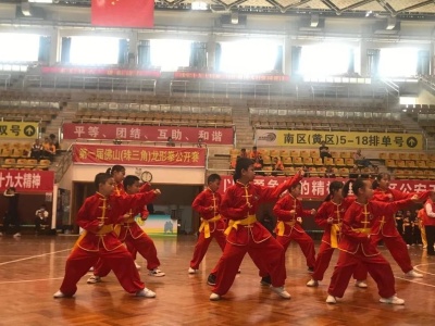 首届佛山(珠三角)龙形拳公开赛开幕，300名运动员同台竞技