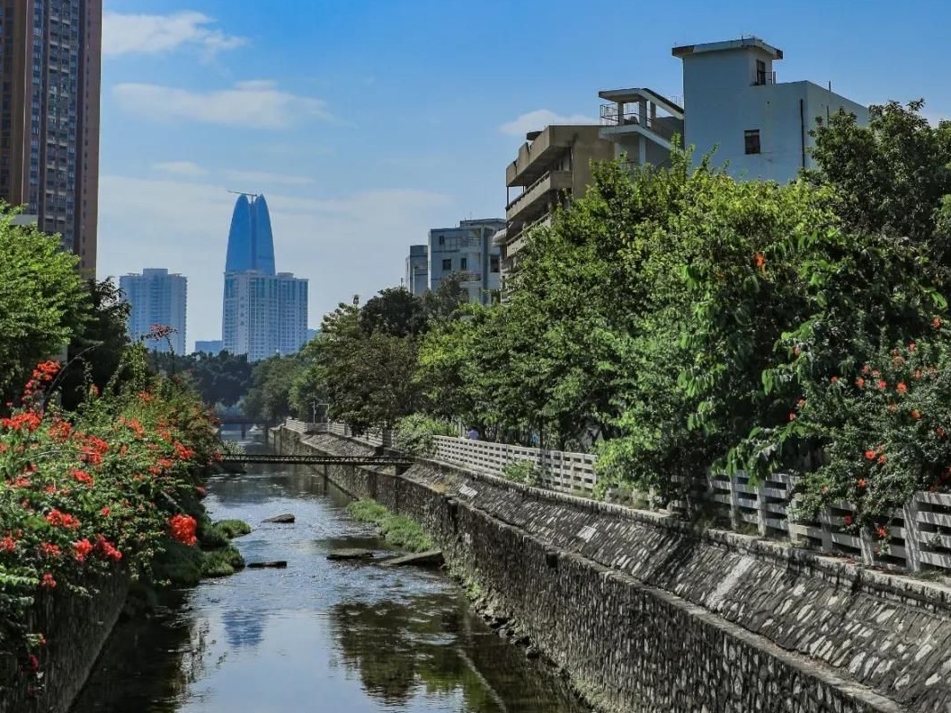 我的宝安蓝朋友|蓝天之下，碧波之上，这样的宝安格外美丽
