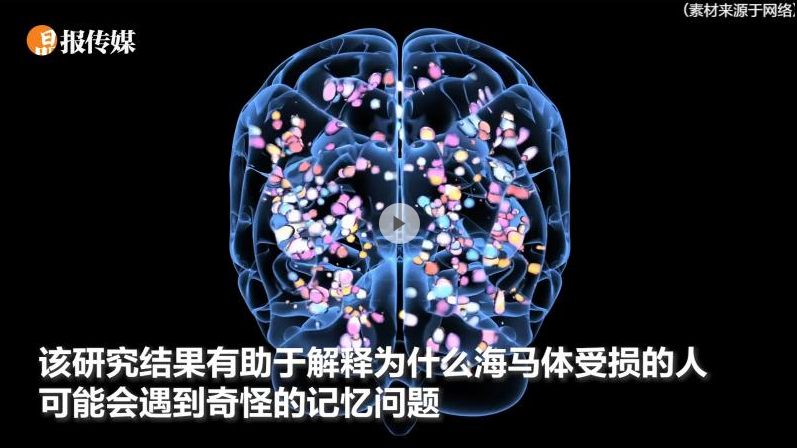 人脑中存在神奇的“时间细胞” 让人类以正确的顺序回忆往事