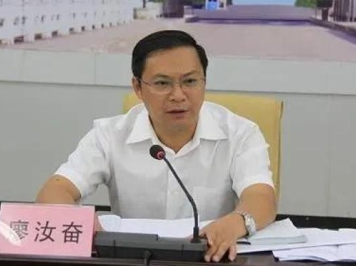 广西防城港市人大常委会副主任廖汝奋接受审查调查