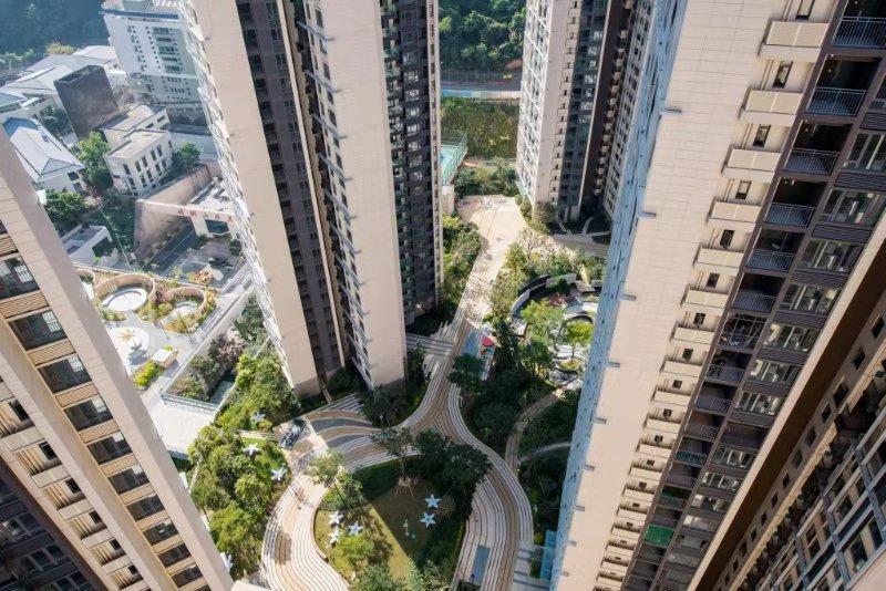 全流程管控 市场化共建 | 盐田区构建更具韧性的特色生态海绵城市