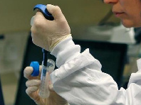 世卫组织：尚无证据表明貂体内变异新冠病毒会影响疫苗效果