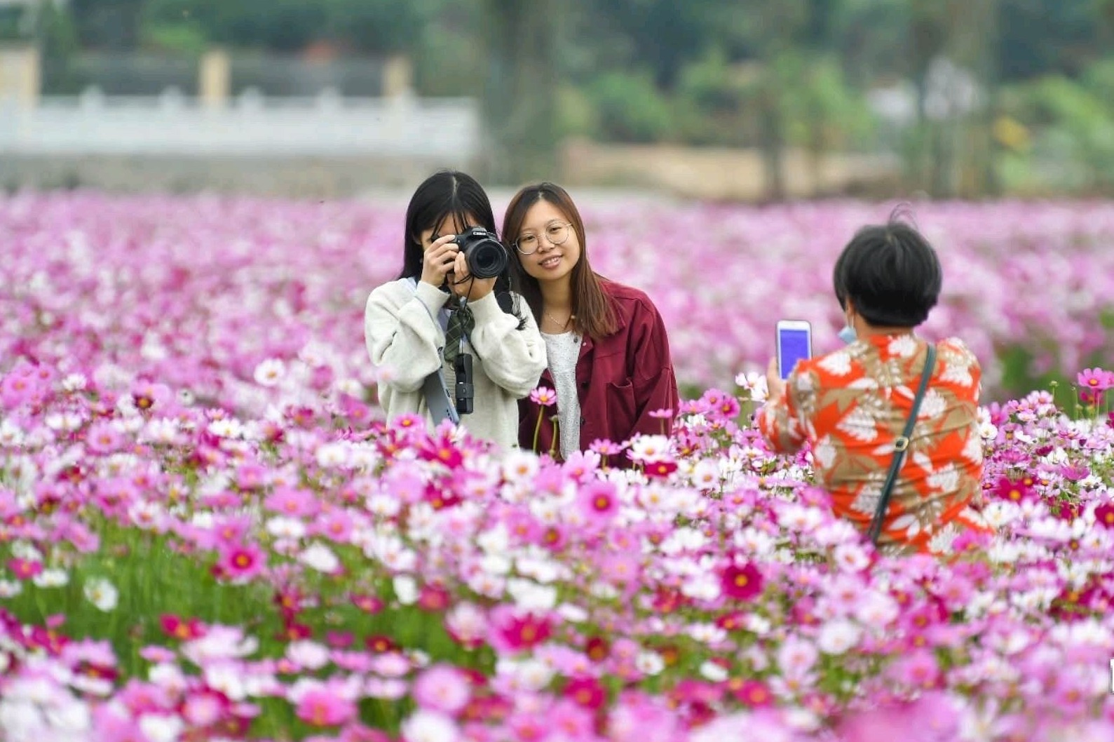 一连九天，玩转深秋！三水云东海旅游文化节亮点抢先看
