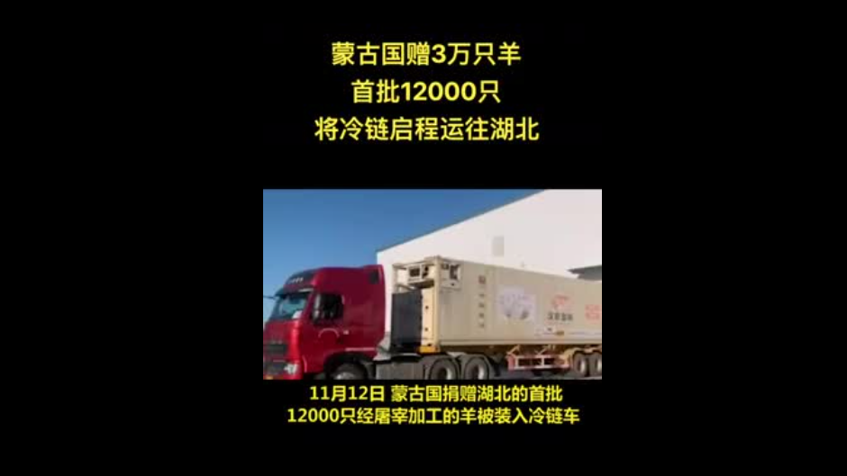 蒙古国捐赠首批12000只羊冷链启程运往武汉