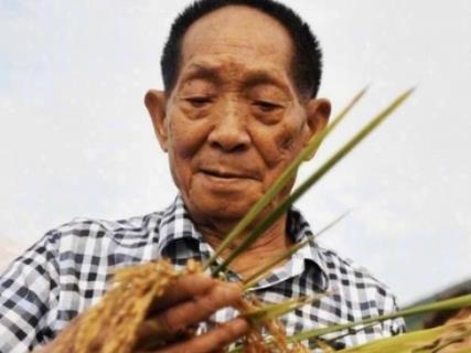 杂交水稻双季亩产1500公斤实现后，袁隆平又提出两个高产“小目标”