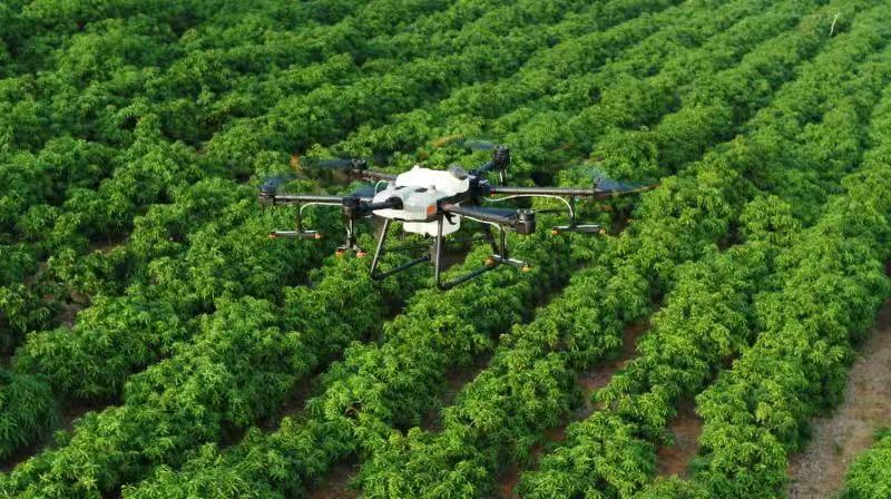 探索数字农业新领域，大疆农业植保机T30、T10发布