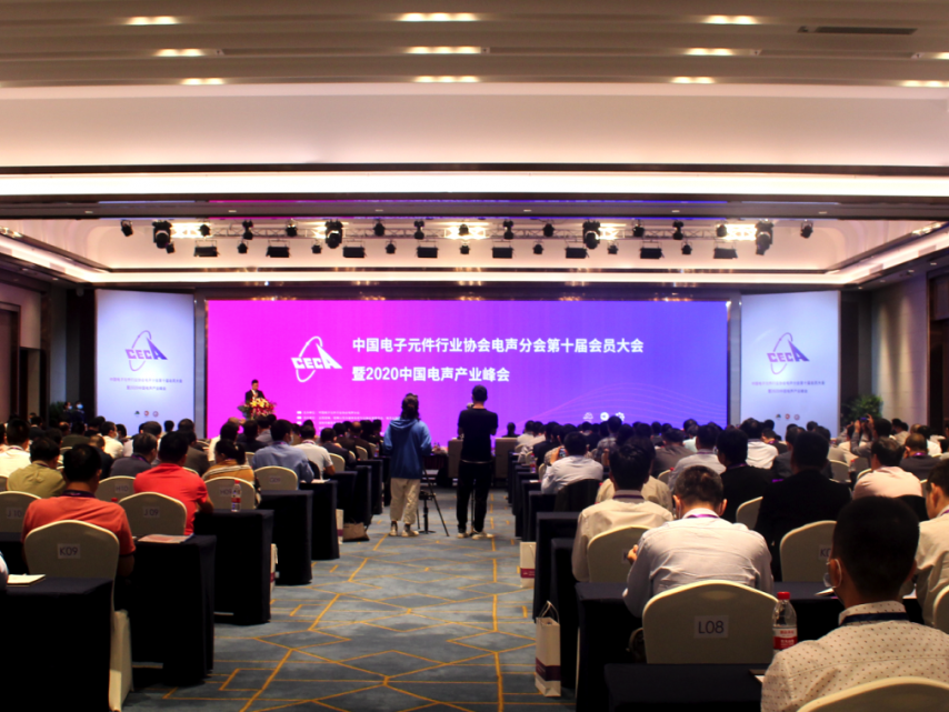 百余家行业领军企业共议声学新发展，2020中国电声产业峰会在坪山区举办